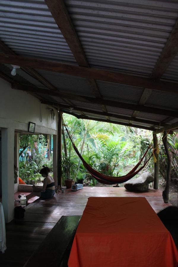 Cabinas Tortuguero Zewnętrze zdjęcie